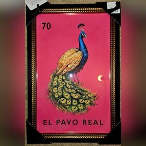 Colorful Peacock Wall Art